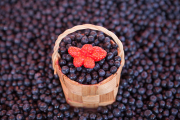 Fresh blueberries with a little basket of strawberries on the market