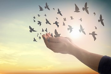 Islam charity kind spiritual csr christian peac