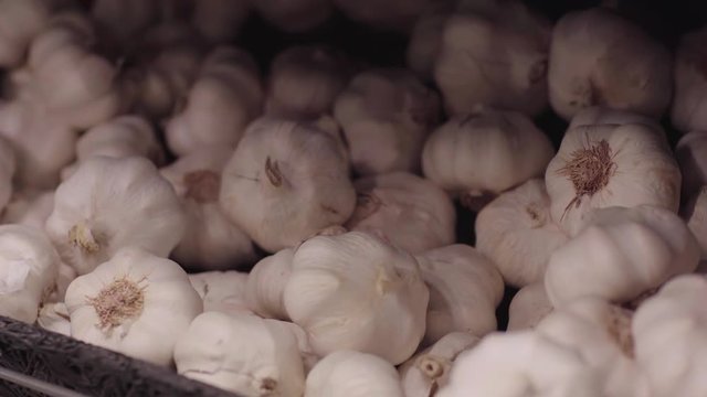 Picking an garlic from a pile of garlics