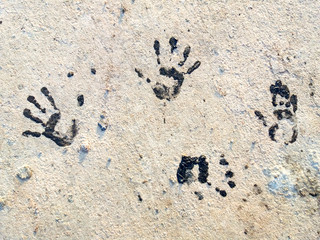 7515170 Several Black Handprints on the ground