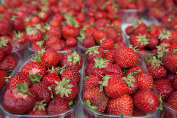 Fresh juicy strawberry on the market