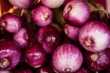 Fresh clean  onion on the market