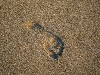 Fototapeta na wymiar Footprint in the sand during sunset