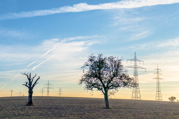 Strommasten und toter Baum