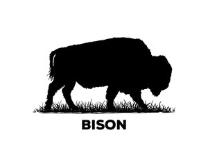 Silhouette Vector Black Bison Sign Symbol Icon Animal Livestock Logo Template Design Inspiration