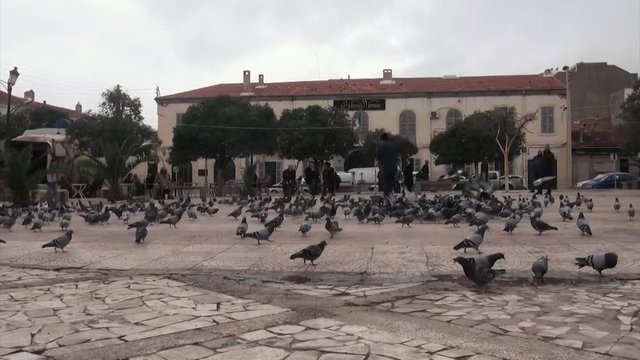 public square in Batna Algeria.