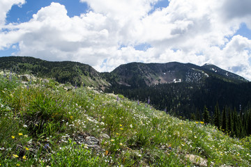 Fototapeta na wymiar Mountain views of Montana in Springtime. 