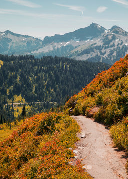 Paradise Pass Mount Rainer