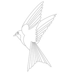   bird swallow  vector illustration    lining draw  profile