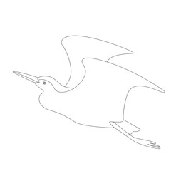  heron  vector illustration   lining draw  profile