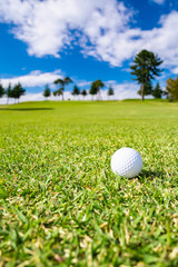 ゴルフ場 フェアウェイ ゴルフボール
