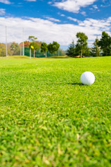 ゴルフ場 フェアウェイ ゴルフボール