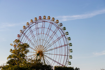 Fototapeta premium Ferris wheel of Hitachi Beach Park, Ibaraki Prefecture, Japan