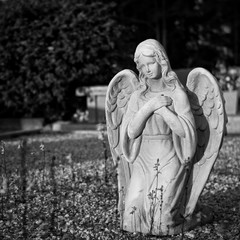 Black and white image of an angel statue in a cemetery.