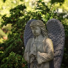 Angel statue in a cemetery.