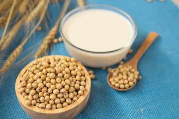 soy beans , soy milk in glass  and wooden spoon blue floor.