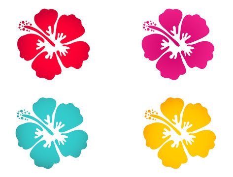 Hibiscus flower set - surfing and tropical symbol