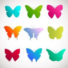 Obraz na płótnie Canvas Vector collection of butterflies.