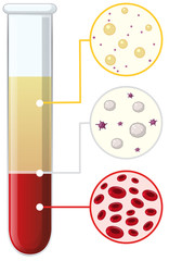 Blood cells in test tube