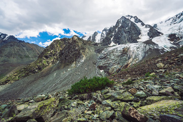 Snowy giant mountain range under cloudy blue sky. Rocky ridge with snow. Huge glacier. Icy mountainside with water streams. Rich vegetation of highlands. Atmospheric minimalist landscape of nature.