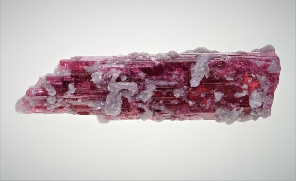 Mineral, Edelstein, Turmalin, Rot, Rubelith, Nat&uuml;rliche Endung, mit Albit, Brasilien