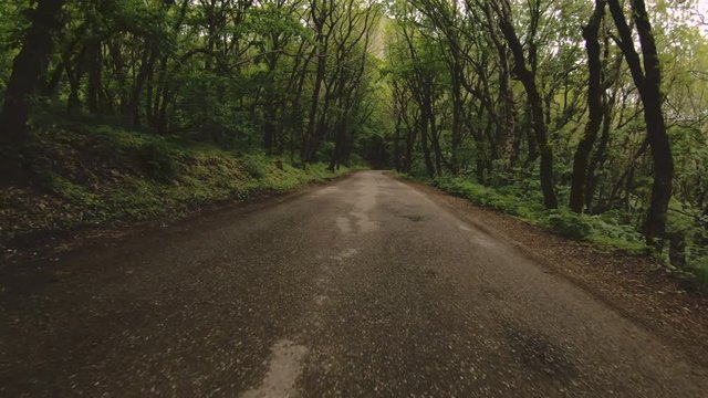 Running on an asphalt road in the forest is a first-person view with a rhythmic swaying of the camera. POV. screen saver emulator