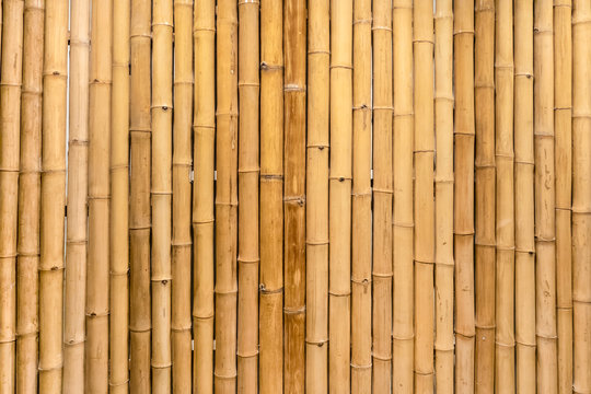 Dry bamboo wall mural would make a great natural wallpaper design, and could even work as a repeating pattern to create an oriental style border design.