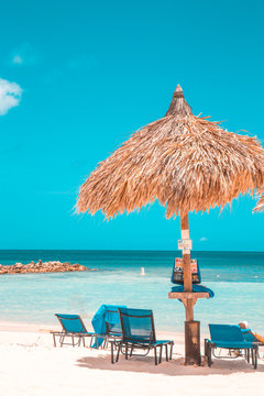 Palapa