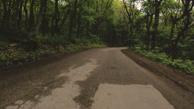 Running on an asphalt road in the forest is a first-person view with a rhythmic swaying of the camera. POV. screen saver emulator