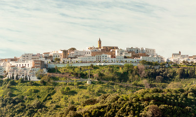 Vejer de la Frontera houses and fields in southern Spain on a sunny day © Tomas