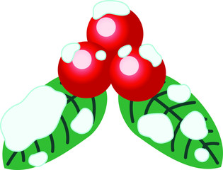 Cute Christmas English holly with snow