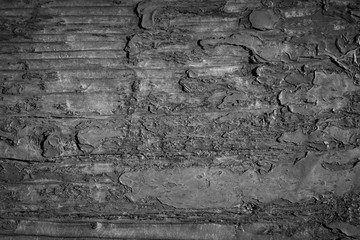 dark vignette black and white background. peeling paint on an old wooden floor