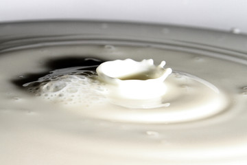 Fototapeta na wymiar Milk splash as background