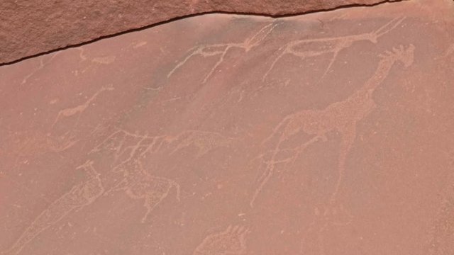 Prehistoric Bushman animal engravings in Twyfelfontein, Namibia, TILT UP