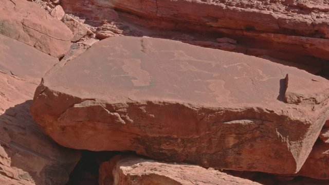 Prehistoric rock carvings in Twyfelfontein, Namibia, depicting wild animals