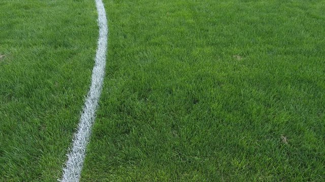 High angle pov view of curved white line on soccer field. Fresh green grass. Room for copy or text. Handheld shot with stabilized camera.