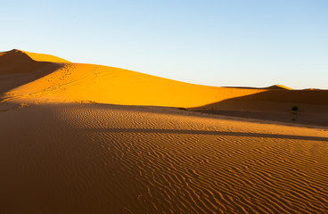 Sahara Desert, Morocco.