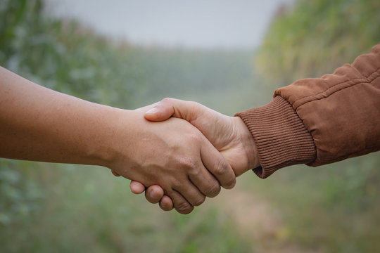 Two man farmer shaking hands on corn leaves.