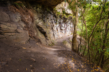 Fairy Bower Falls Track