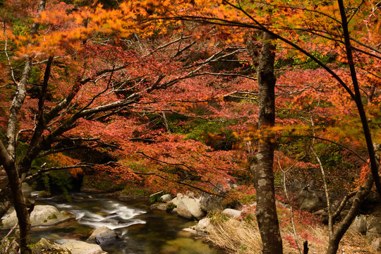 1 095 Best 甲府市 Images Stock Photos Vectors Adobe Stock