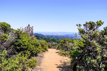 Trail in Mt Tamalpais State Park; the San Francisco bay area visible in the background; Marin County, California