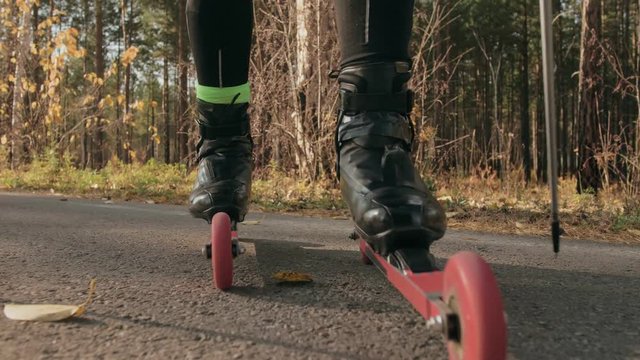 Training an athlete on the roller skaters. Biathlon ride on the roller skis with ski poles, in the helmet. Autumn workout. Roller sport. Adult man riding on skates. The athlete is preparing for the