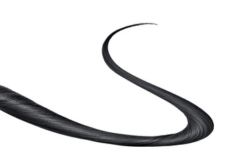 Thin curl of black hair isolated on white background. Top-down view