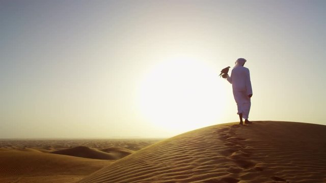 Tethered falcon on gloved wrist of male Arab owner in sunset silhouette