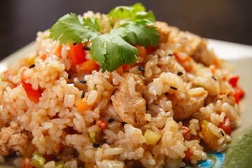 rice with chicken and vegetables