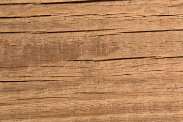 Wood texture. Background of wooden board, close up
