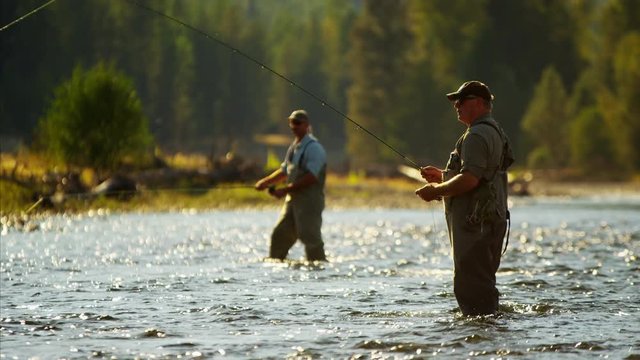 River wading males freshwater fly fishing in American Wilderness