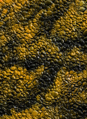 Schwarz gelbes Waschbetonmuster