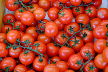 Leckere Tomaten 