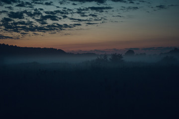 Sunrise Sunset Nature fog foggy forest morning
